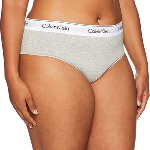 NWT Calvin Klein Women’s Modern Cotton Stretch Bikini Panty Grey Heather Size 2X